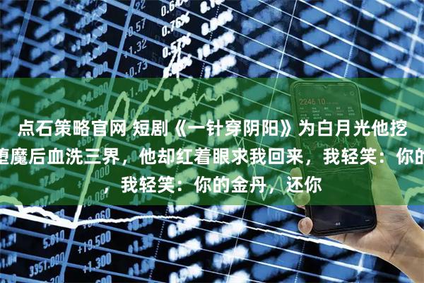 点石策略官网 短剧《一针穿阴阳》为白月光他挖我金丹，我堕魔后血洗三界，他却红着眼求我回来，我轻笑：你的金丹，还你