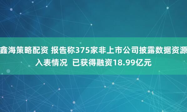 鑫海策略配资 报告称375家非上市公司披露数据资源入表情况  已获得融资18.99亿元