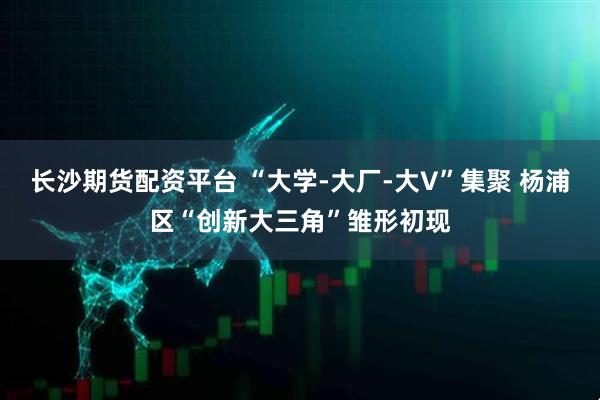 长沙期货配资平台 “大学-大厂-大V”集聚 杨浦区“创新大三角”雏形初现